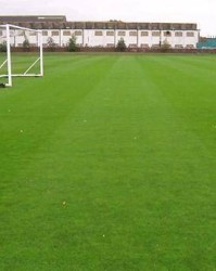 壹号娱乐- 尼斯主场草皮质量遭质疑，球员联名要求更换场地  