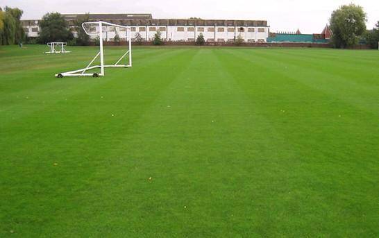  尼斯主场草皮质量遭质疑，球员联名要求更换场地  